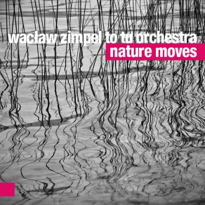 Wacław Zimpel To Tu Orchestra