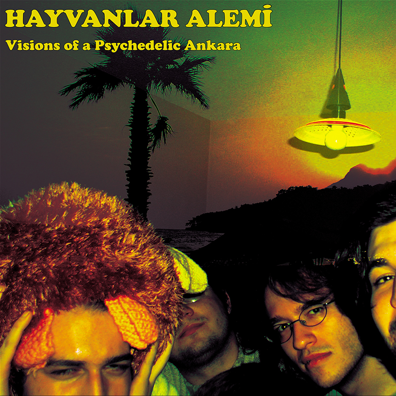 Hayvanlar Alemi - Visions of a Psychedelic Ankara 800
