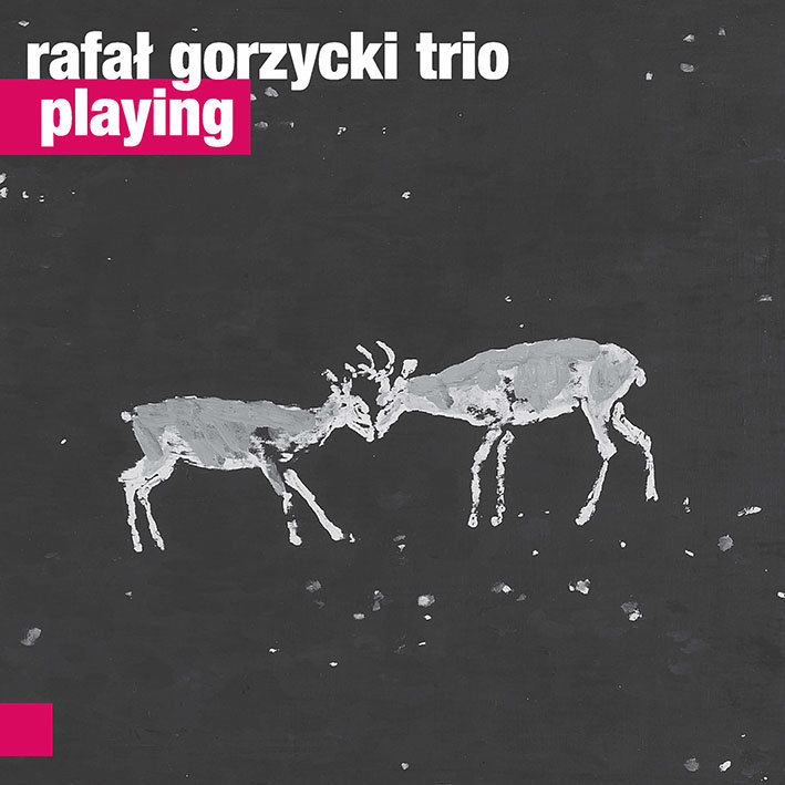 Rafał Gorzycki Trio