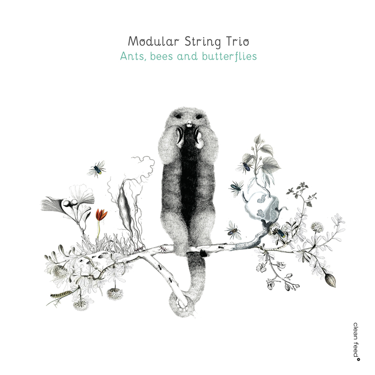 Modular String Trio - Clean feed