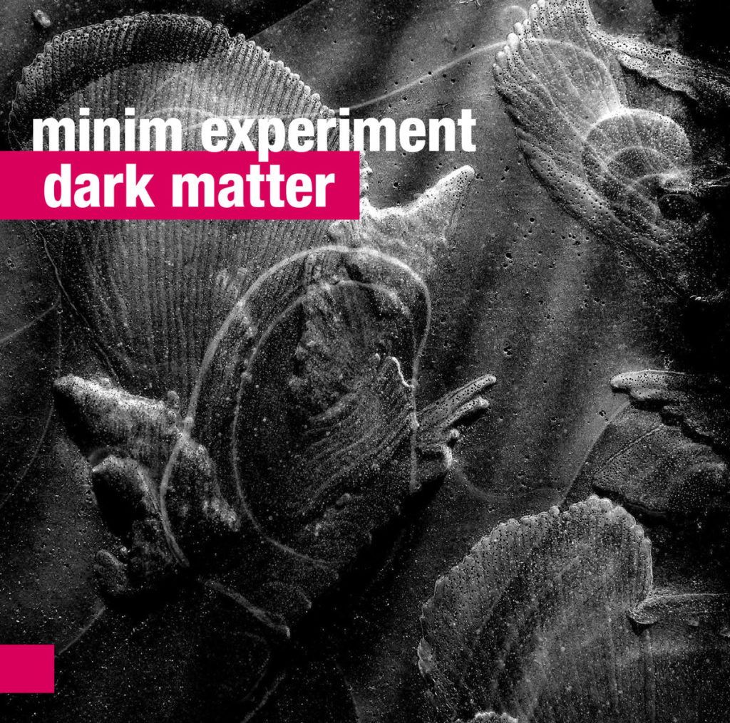 minim-experiment
